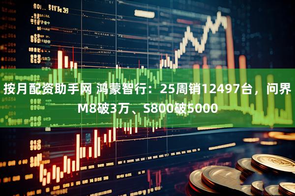 按月配资助手网 鸿蒙智行：25周销12497台，问界M8破3万、S800破5000